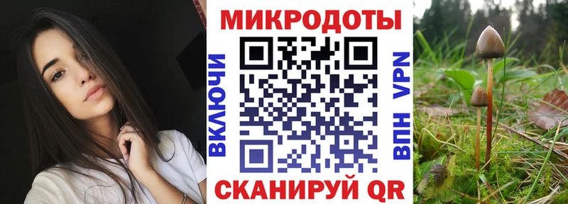 Галлюциногенные грибы Cubensis  где купить наркоту  Ярославль 